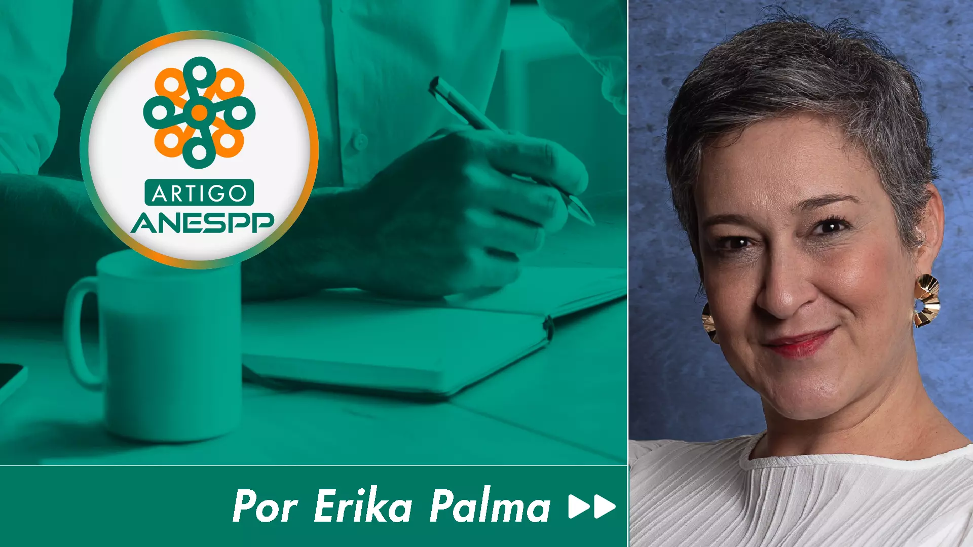 Artigo Erika Palma